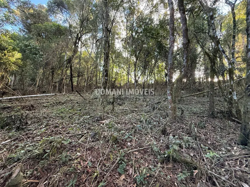 Terreno / Lote à venda, 1095m2 em Campos Do Jordao - SP - imagem 4 Foto 4 de Terreno / Lote à venda, 1095m2 em Campos Do Jordao - SP