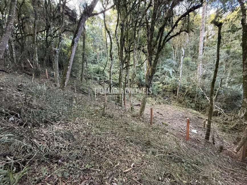 Terreno / Lote à venda, 1095m2 em Campos Do Jordao - SP - imagem 5 Foto 5 de Terreno / Lote à venda, 1095m2 em Campos Do Jordao - SP