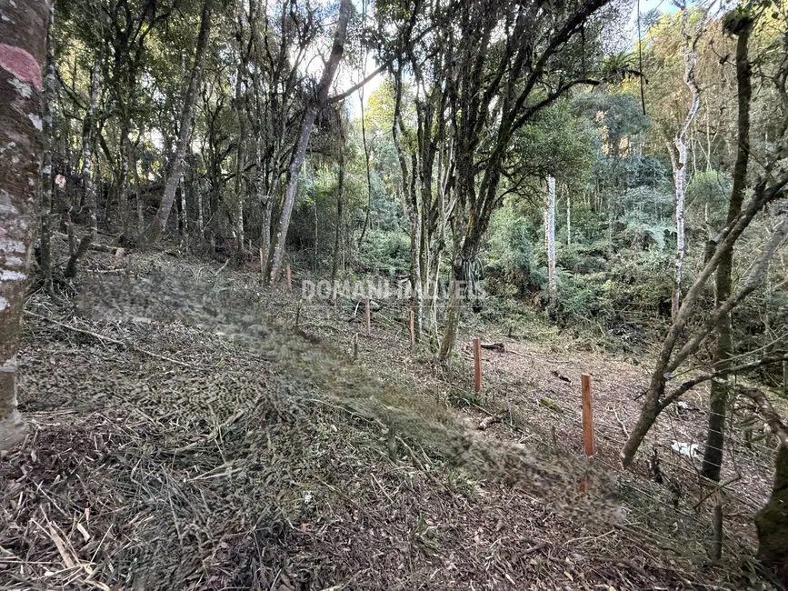 Terreno / Lote à venda, 1095m2 em Campos Do Jordao - SP - imagem 7 Foto 7 de Terreno / Lote à venda, 1095m2 em Campos Do Jordao - SP