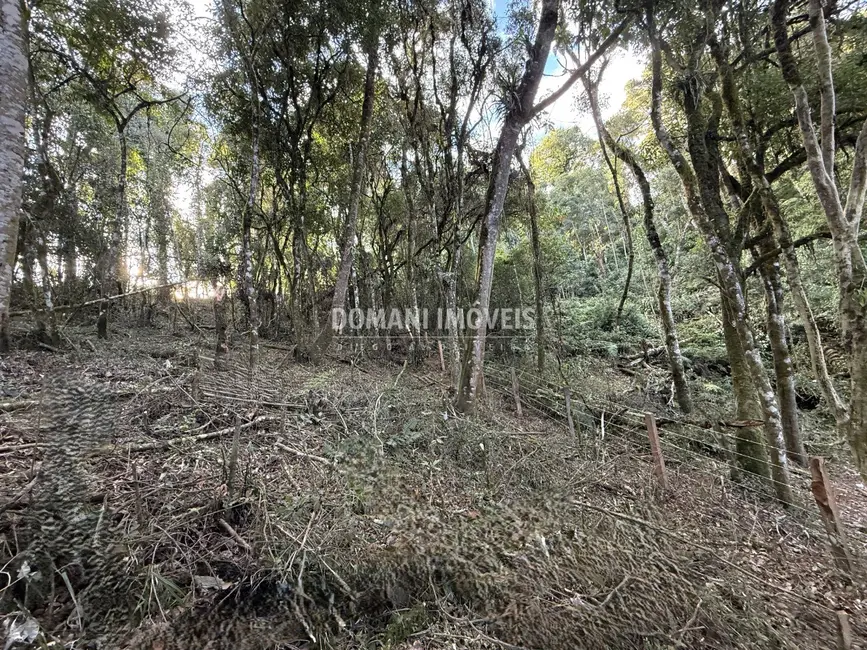 Terreno / Lote à venda, 1095m2 em Campos Do Jordao - SP - imagem 6 Foto 6 de Terreno / Lote à venda, 1095m2 em Campos Do Jordao - SP