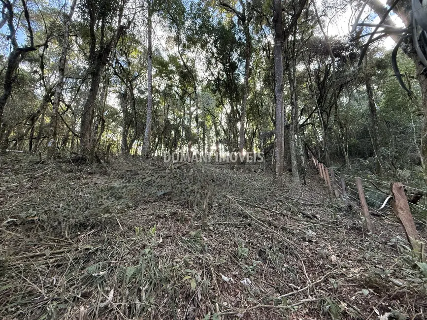 Terreno / Lote à venda, 1095m2 em Campos Do Jordao - SP - imagem 8 Foto 8 de Terreno / Lote à venda, 1095m2 em Campos Do Jordao - SP