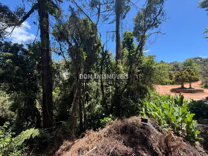 Foto 4 de Terreno / Lote à venda, 1095m2 em Campos Do Jordao - SP