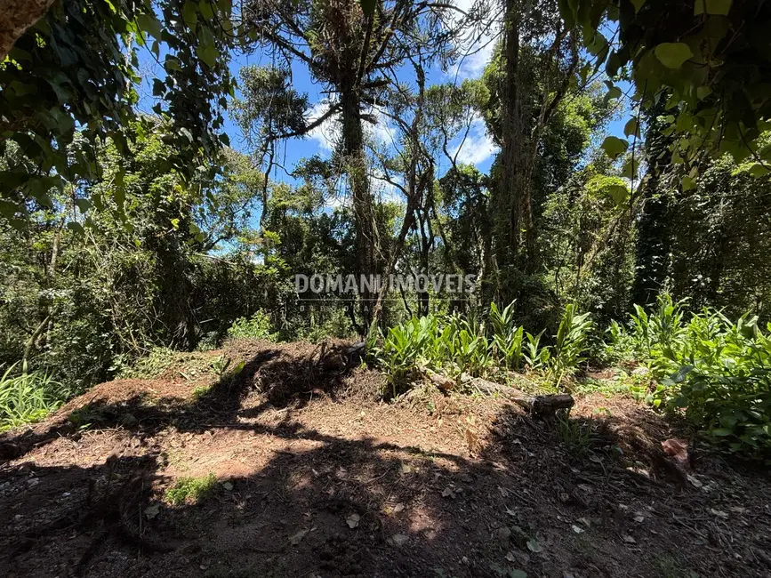 Foto 6 de Terreno / Lote à venda, 1095m2 em Campos Do Jordao - SP