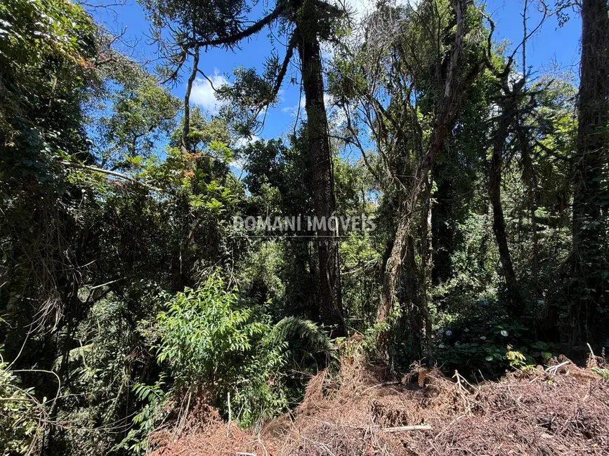 Foto 9 de Terreno / Lote à venda, 1095m2 em Campos Do Jordao - SP