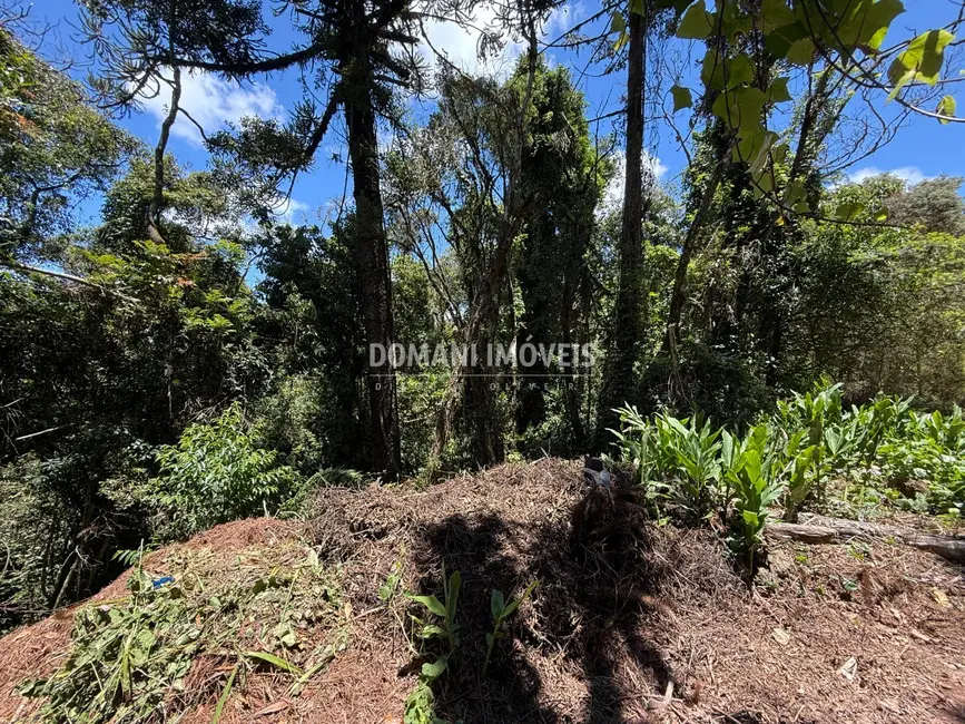Foto 8 de Terreno / Lote à venda, 1095m2 em Campos Do Jordao - SP