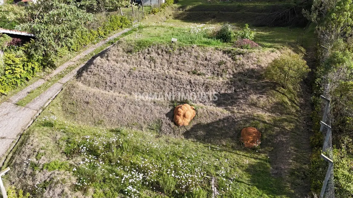 Foto 2 de Terreno / Lote à venda, 1010m2 em Campos Do Jordao - SP