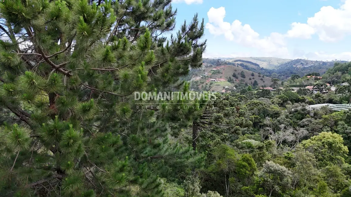 Foto 5 de Terreno / Lote à venda, 1250m2 em Campos Do Jordao - SP