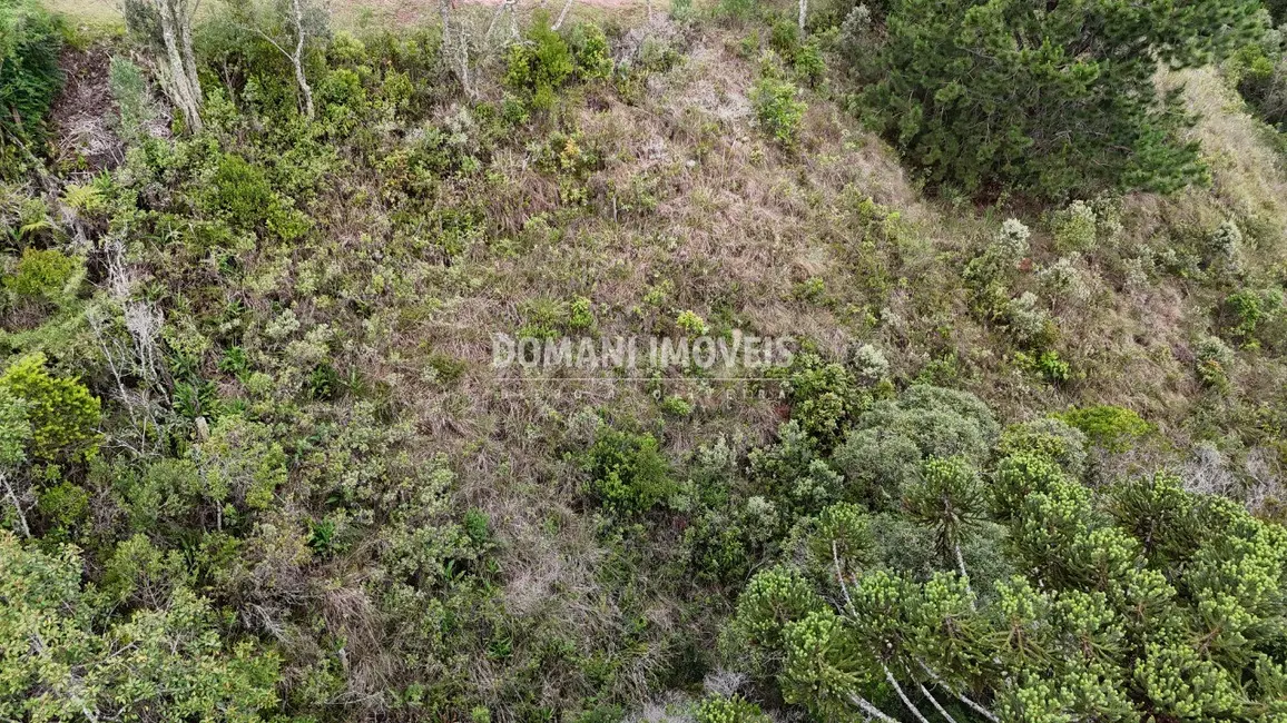 Foto 7 de Terreno / Lote à venda, 1250m2 em Campos Do Jordao - SP