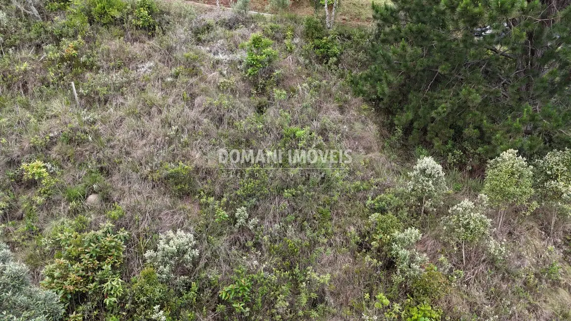 Foto 4 de Terreno / Lote à venda, 1250m2 em Campos Do Jordao - SP