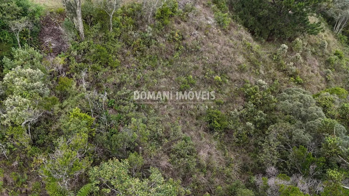 Foto 3 de Terreno / Lote à venda, 1250m2 em Campos Do Jordao - SP