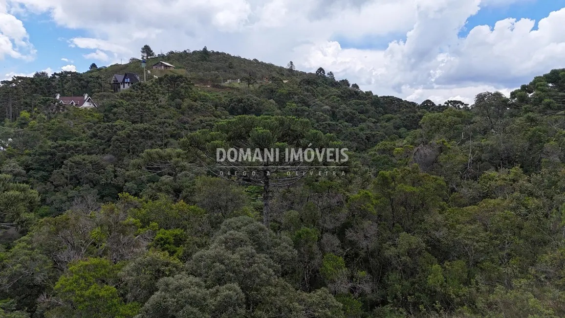 Foto 9 de Terreno / Lote à venda, 1250m2 em Campos Do Jordao - SP