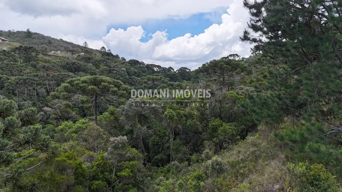 Foto 1 de Terreno / Lote à venda, 1250m2 em Campos Do Jordao - SP