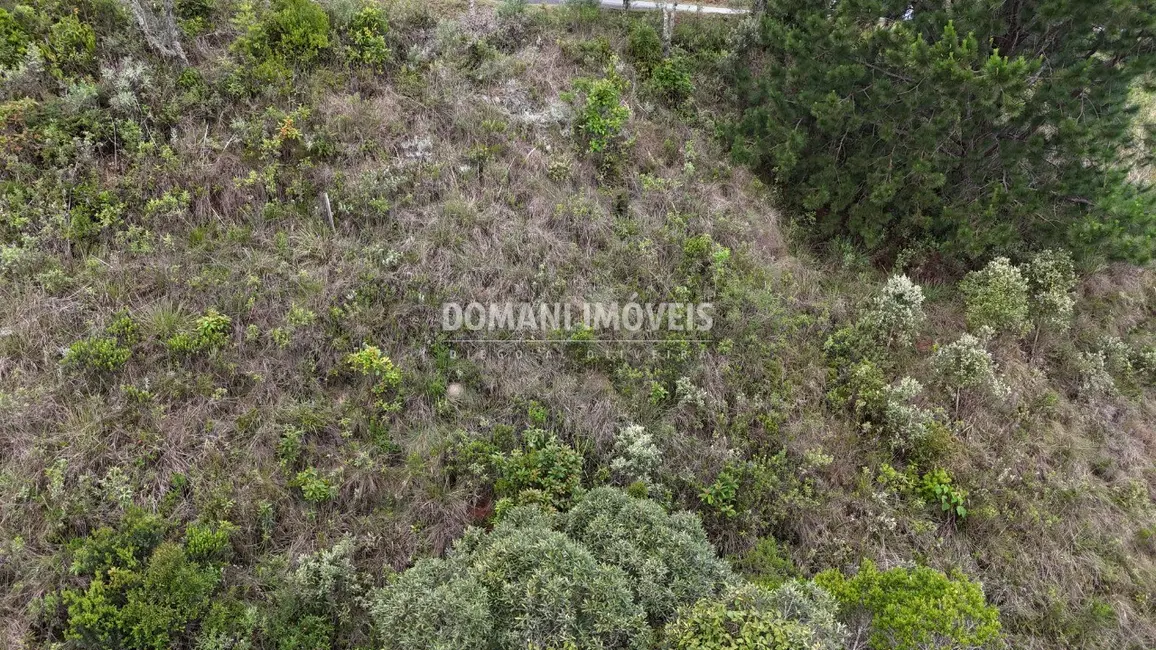 Foto 8 de Terreno / Lote à venda, 1250m2 em Campos Do Jordao - SP