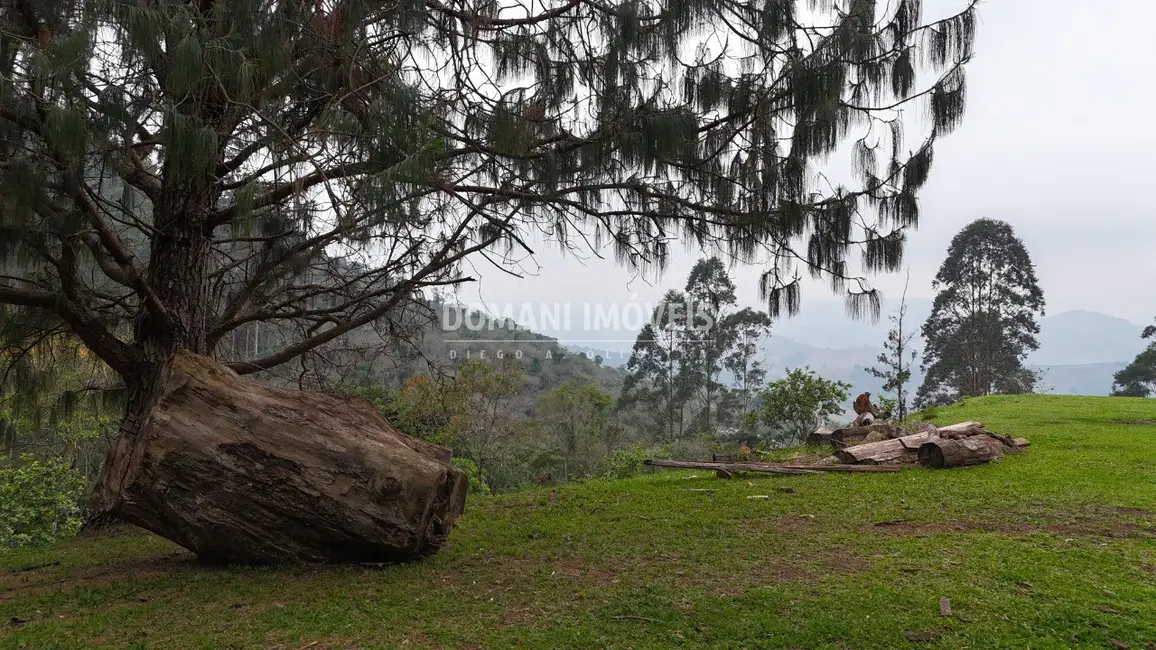 Foto 3 de Sítio / Rancho com 2 quartos à venda em Monteiro Lobato - SP