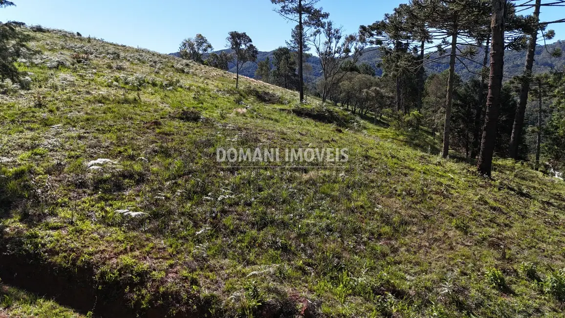Foto 5 de Terreno / Lote à venda, 1410m2 em Campos Do Jordao - SP