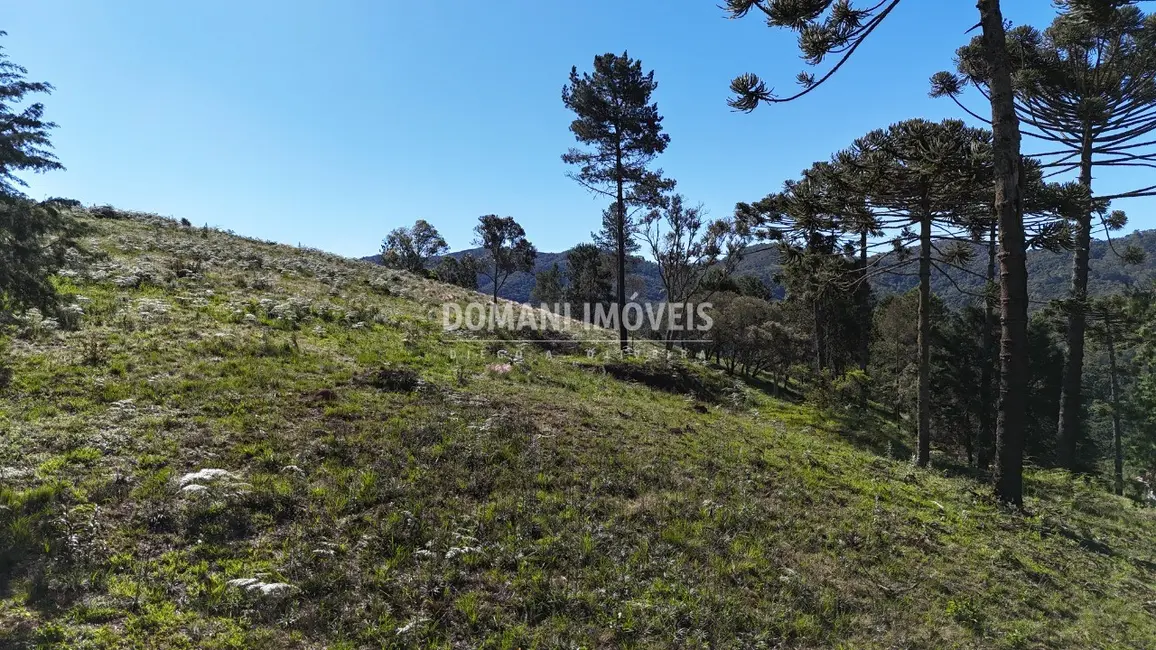 Foto 8 de Terreno / Lote à venda, 1410m2 em Campos Do Jordao - SP