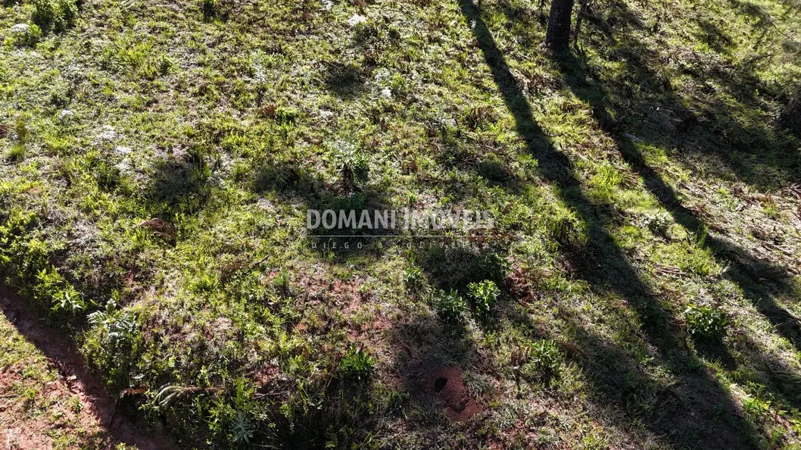 Foto 7 de Terreno / Lote à venda, 1410m2 em Campos Do Jordao - SP