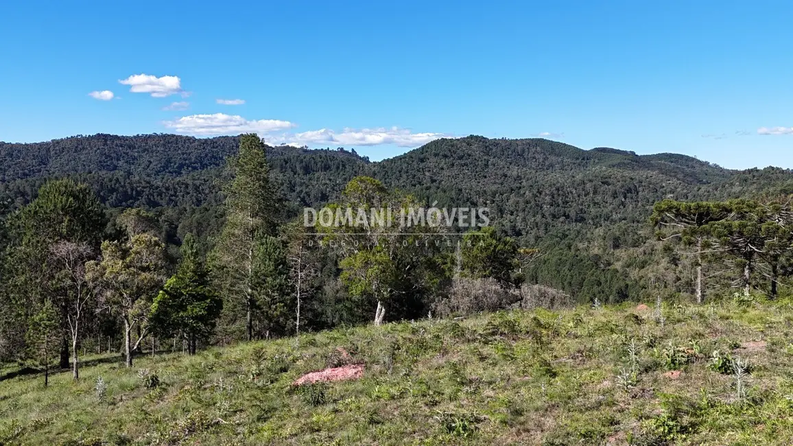 Foto 8 de Terreno / Lote à venda, 1195m2 em Campos Do Jordao - SP