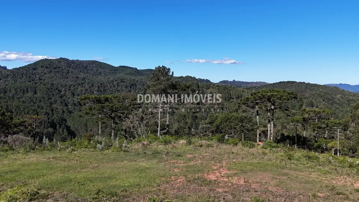 Foto 5 de Terreno / Lote à venda, 1195m2 em Campos Do Jordao - SP