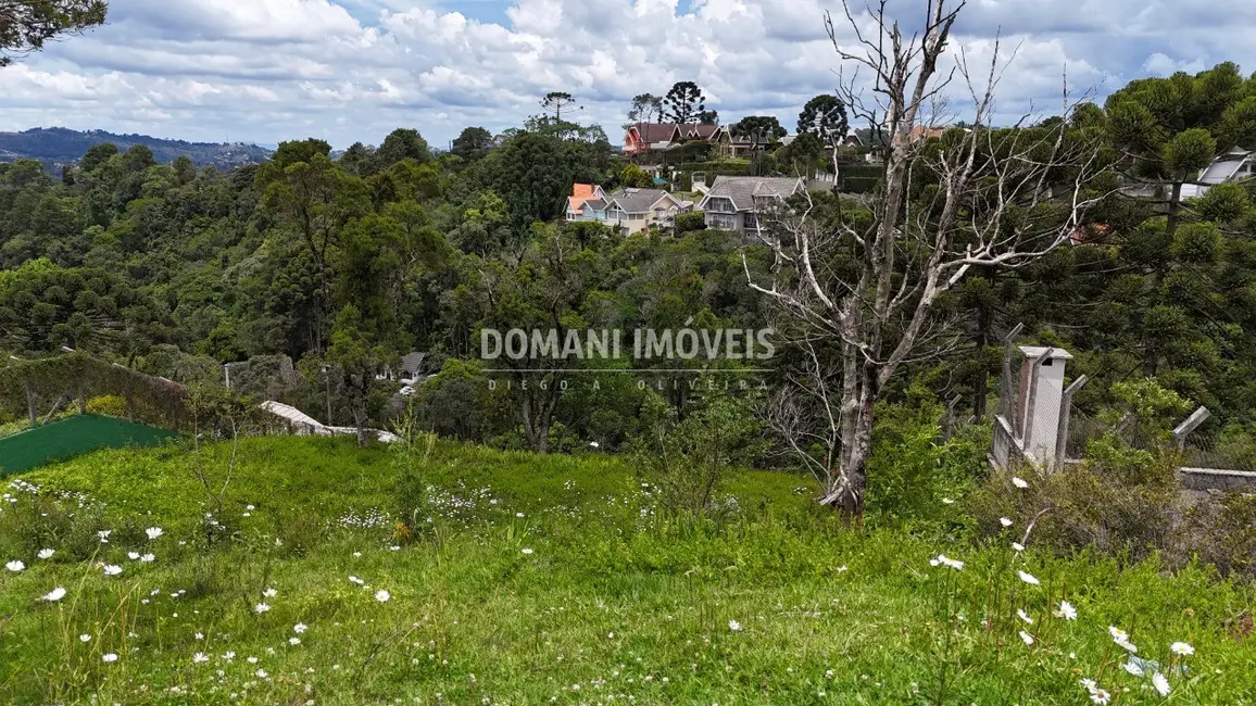 Foto 5 de Terreno / Lote à venda, 1180m2 em Campos Do Jordao - SP