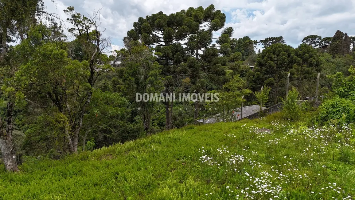 Foto 4 de Terreno / Lote à venda, 1180m2 em Campos Do Jordao - SP