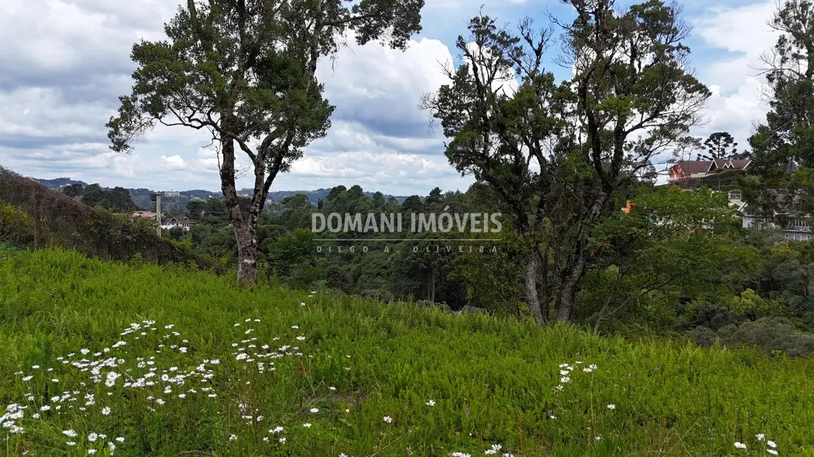 Foto 6 de Terreno / Lote à venda, 1180m2 em Campos Do Jordao - SP