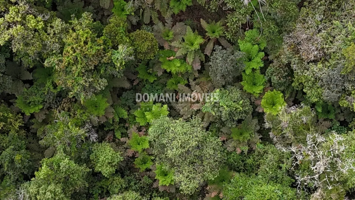 Terreno / Lote à venda, 1020m2 em Campos Do Jordao - SP - imagem 2 Foto 2 de Terreno / Lote à venda, 1020m2 em Campos Do Jordao - SP