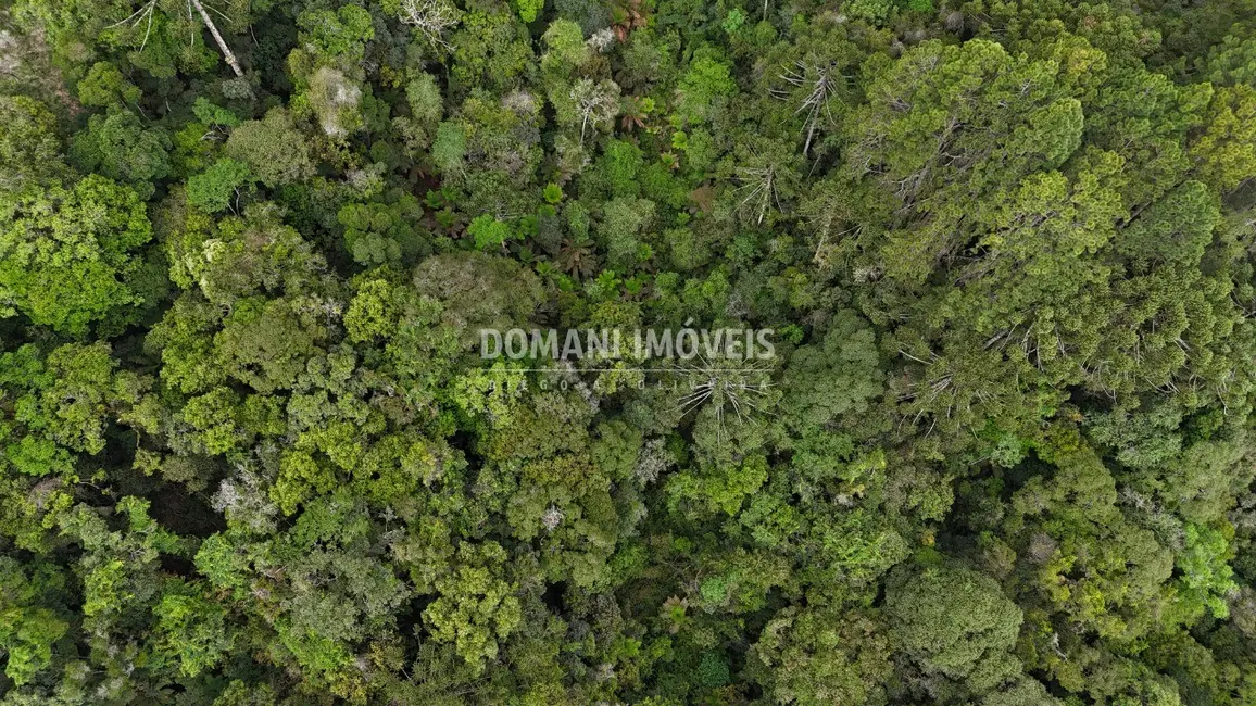 Terreno / Lote à venda, 1020m2 em Campos Do Jordao - SP - imagem 8 Foto 8 de Terreno / Lote à venda, 1020m2 em Campos Do Jordao - SP