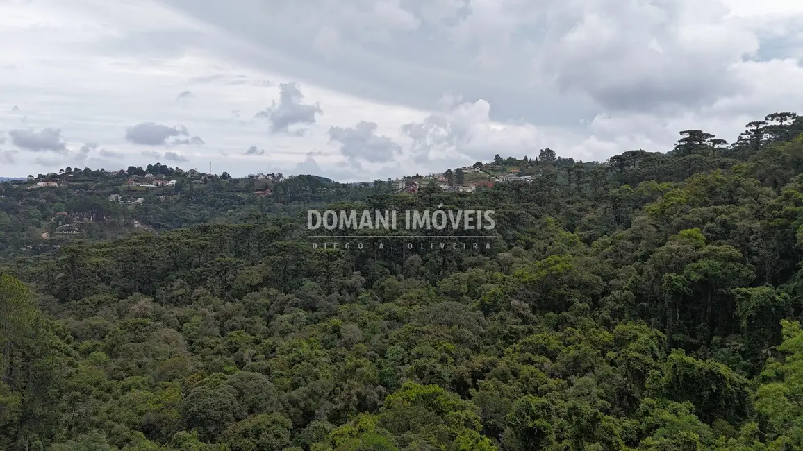 Terreno / Lote à venda, 1020m2 em Campos Do Jordao - SP - imagem 9 Foto 9 de Terreno / Lote à venda, 1020m2 em Campos Do Jordao - SP