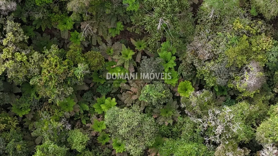 Terreno / Lote à venda, 1020m2 em Campos Do Jordao - SP - imagem 3 Foto 3 de Terreno / Lote à venda, 1020m2 em Campos Do Jordao - SP