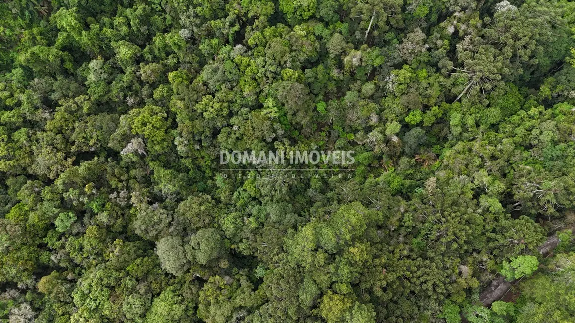 Terreno / Lote à venda, 1020m2 em Campos Do Jordao - SP - imagem 7 Foto 7 de Terreno / Lote à venda, 1020m2 em Campos Do Jordao - SP