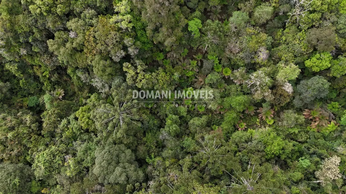 Terreno / Lote à venda, 1020m2 em Campos Do Jordao - SP - imagem 6 Foto 6 de Terreno / Lote à venda, 1020m2 em Campos Do Jordao - SP