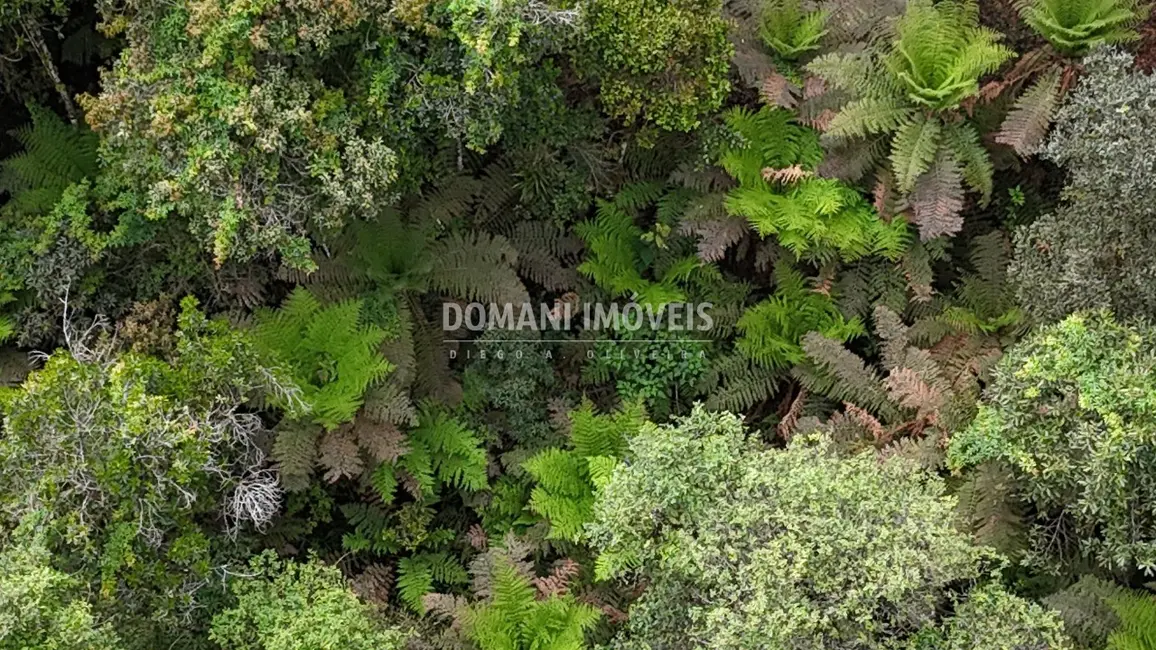 Terreno / Lote à venda, 1020m2 em Campos Do Jordao - SP - imagem 4 Foto 4 de Terreno / Lote à venda, 1020m2 em Campos Do Jordao - SP