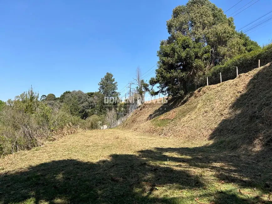 Foto 4 de Terreno / Lote à venda, 2610m2 em Campos Do Jordao - SP