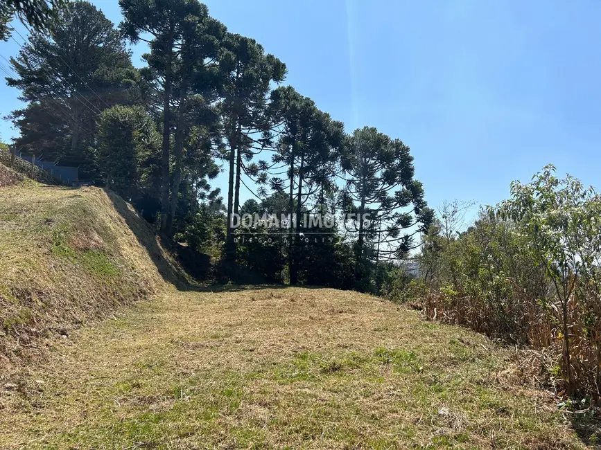 Foto 5 de Terreno / Lote à venda, 2610m2 em Campos Do Jordao - SP