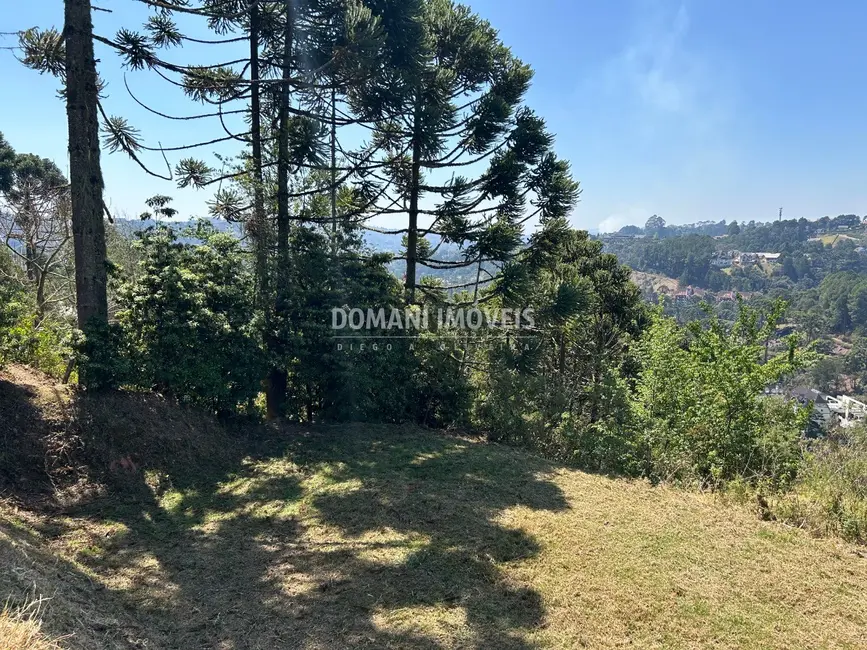 Foto 7 de Terreno / Lote à venda, 2610m2 em Campos Do Jordao - SP