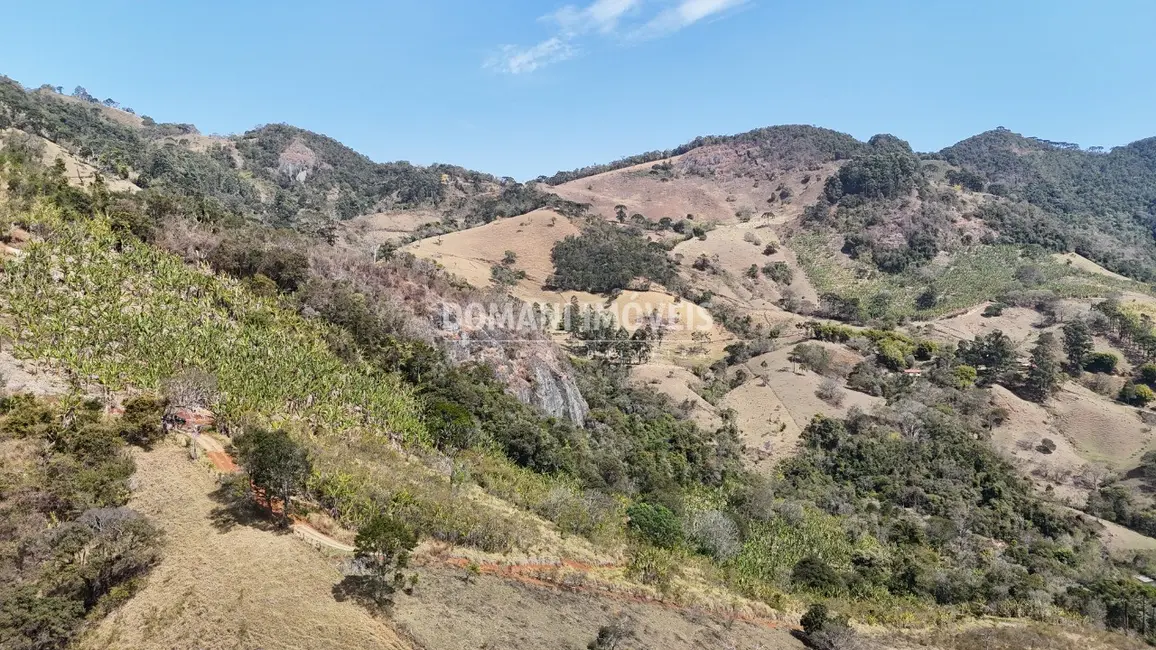 Foto 4 de Terreno / Lote à venda em Campos Do Jordao - SP