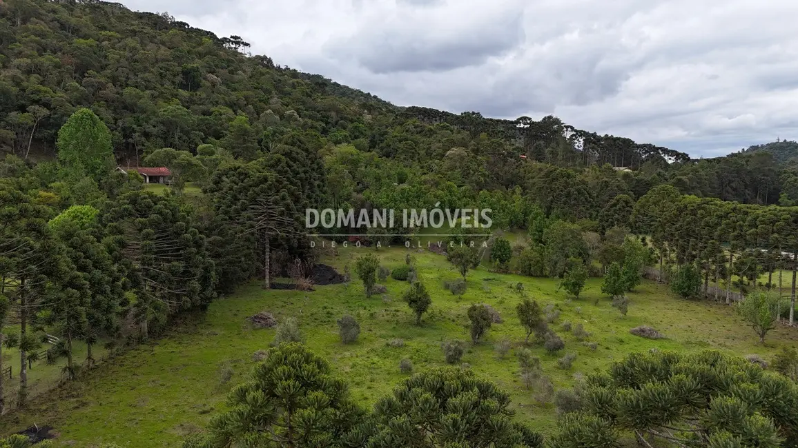 Foto 6 de Sítio / Rancho com 3 quartos à venda, 260m2 em Campos Do Jordao - SP