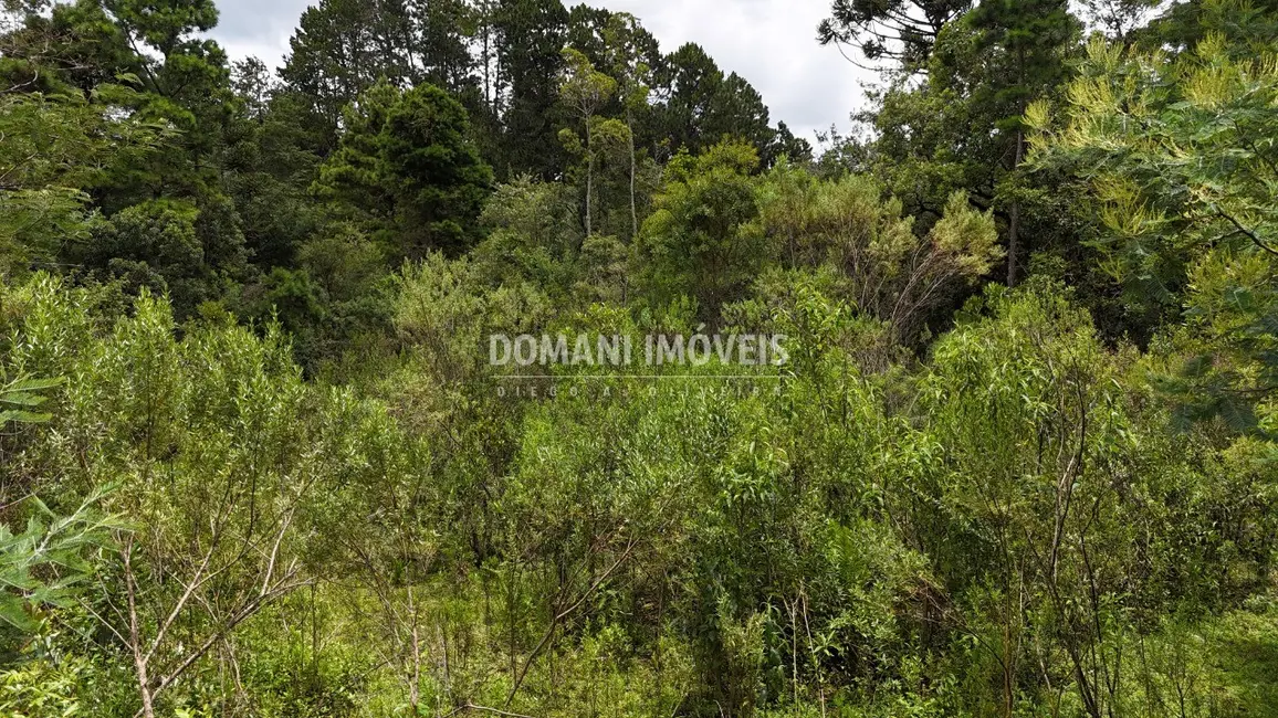 Foto 4 de Terreno / Lote à venda, 3290m2 em Campos Do Jordao - SP