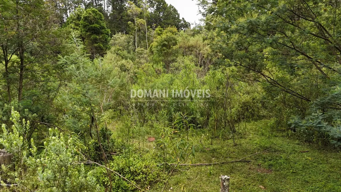Foto 9 de Terreno / Lote à venda, 3290m2 em Campos Do Jordao - SP