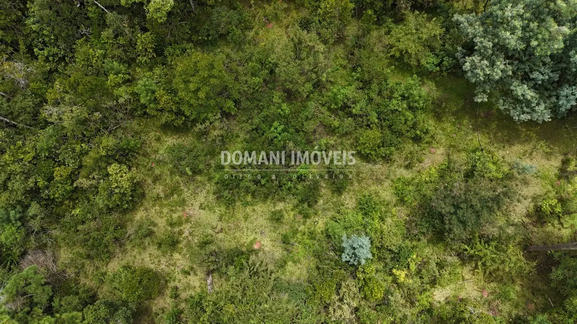 Foto 6 de Terreno / Lote à venda, 3290m2 em Campos Do Jordao - SP