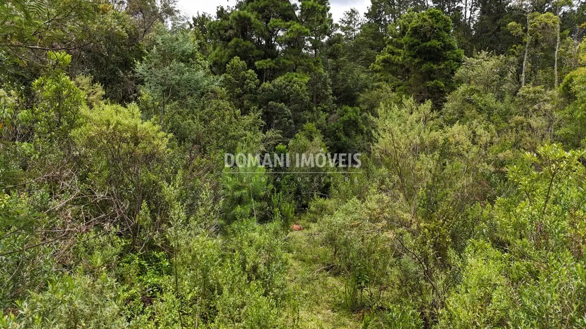 Foto 8 de Terreno / Lote à venda, 3290m2 em Campos Do Jordao - SP