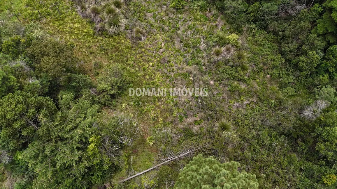 Foto 3 de Terreno / Lote à venda, 3290m2 em Campos Do Jordao - SP