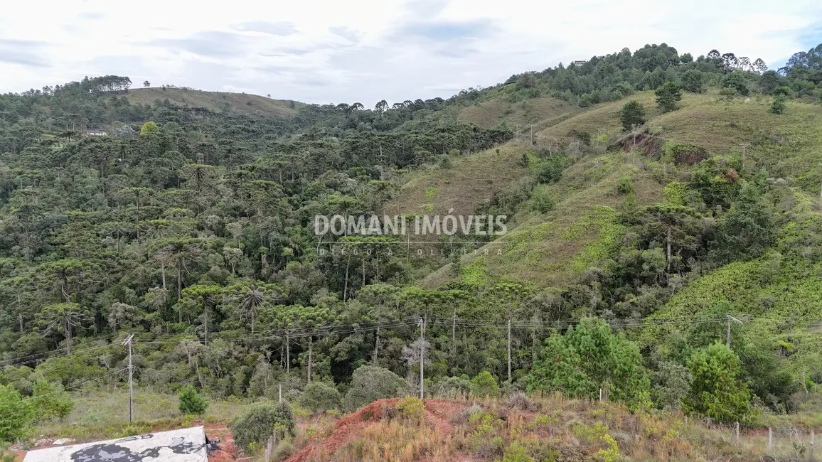 Foto 6 de Terreno / Lote à venda, 1010m2 em Campos Do Jordao - SP
