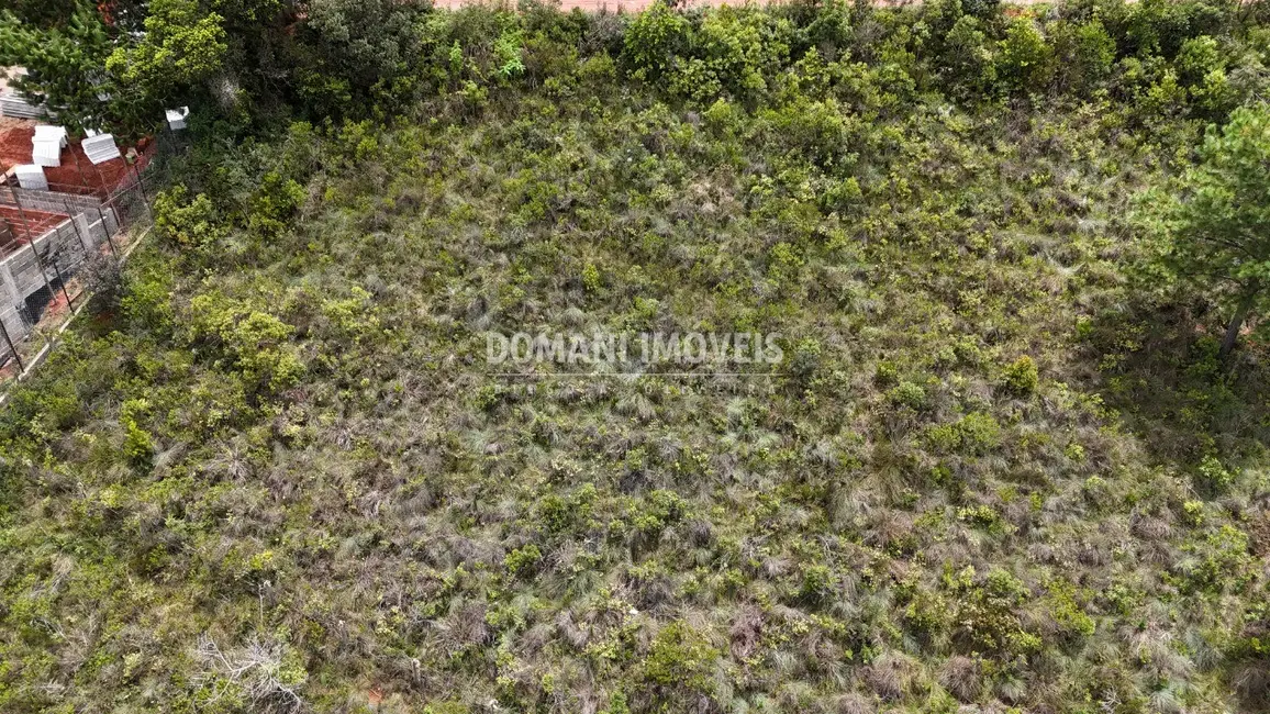 Foto 9 de Terreno / Lote à venda, 1390m2 em Campos Do Jordao - SP