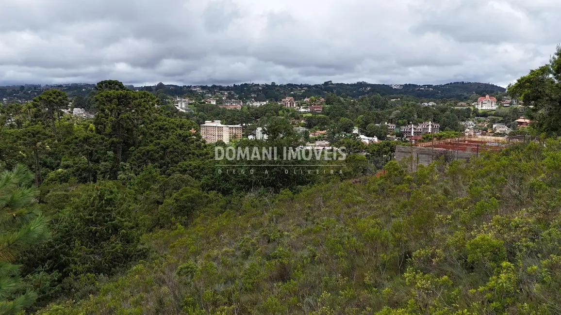 Foto 1 de Terreno / Lote à venda, 1390m2 em Campos Do Jordao - SP