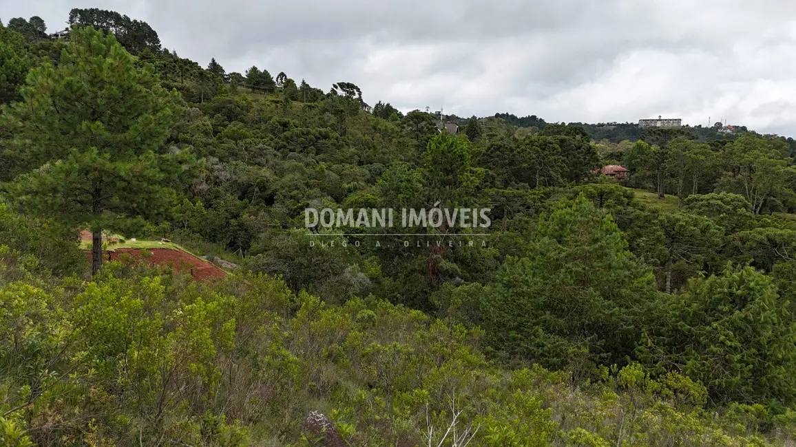 Foto 4 de Terreno / Lote à venda, 1390m2 em Campos Do Jordao - SP