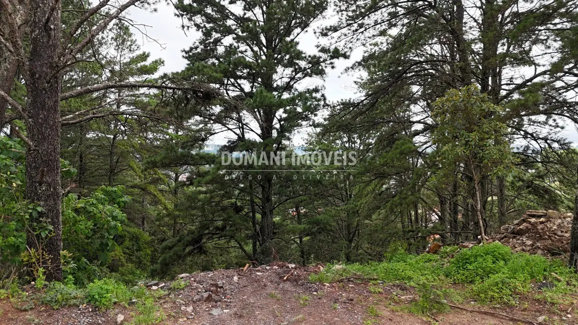 Terreno / Lote à venda, 2020m2 em Campos Do Jordao - SP - imagem 4 Foto 4 de Terreno / Lote à venda, 2020m2 em Campos Do Jordao - SP
