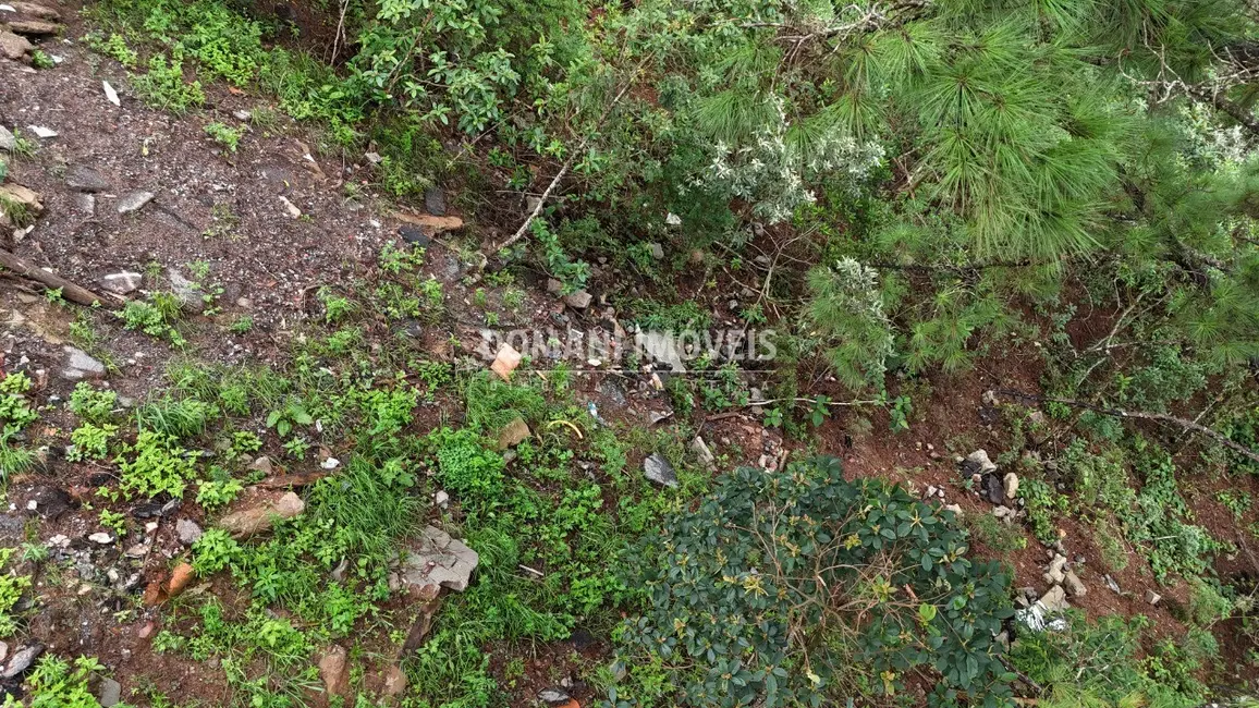 Terreno / Lote à venda, 2020m2 em Campos Do Jordao - SP - imagem 3 Foto 3 de Terreno / Lote à venda, 2020m2 em Campos Do Jordao - SP