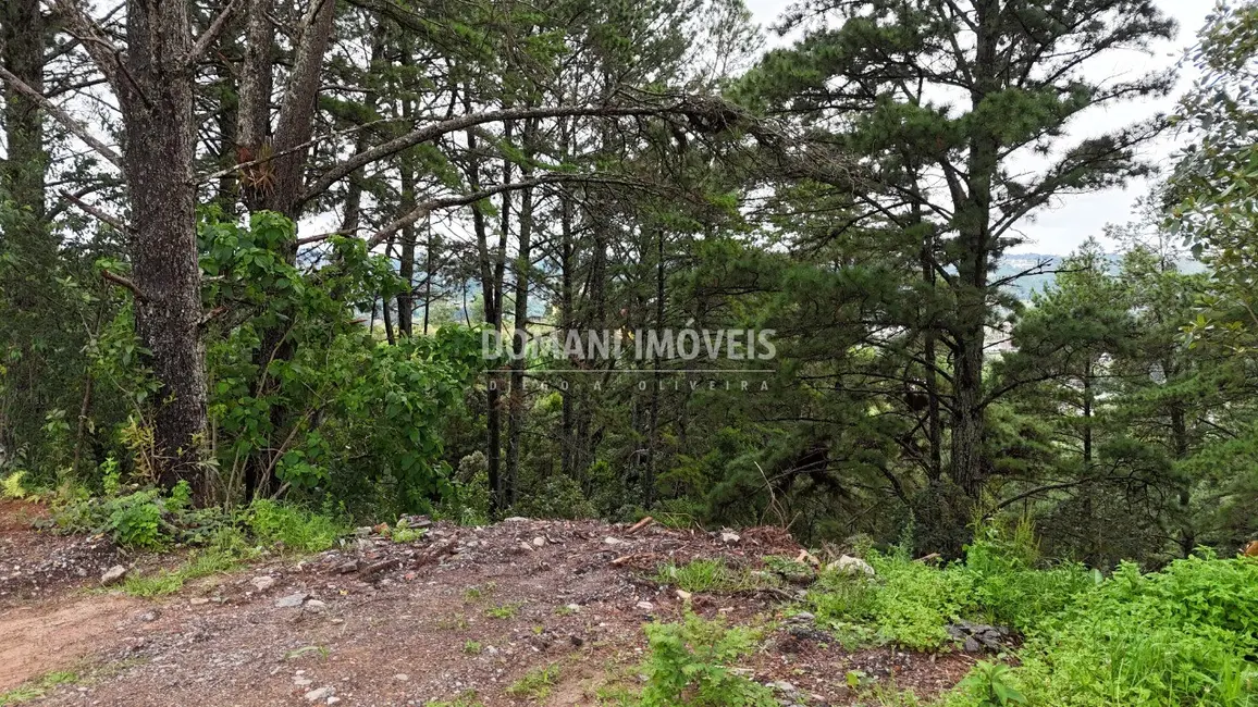 Terreno / Lote à venda, 2020m2 em Campos Do Jordao - SP - imagem 1 Foto 1 de Terreno / Lote à venda, 2020m2 em Campos Do Jordao - SP